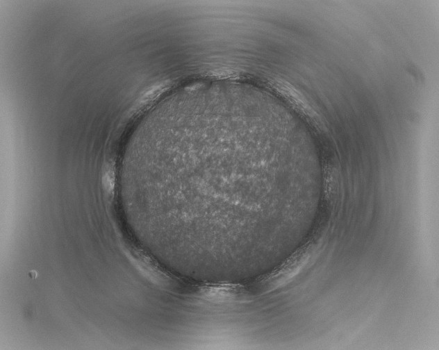 X0000116000072200912031518