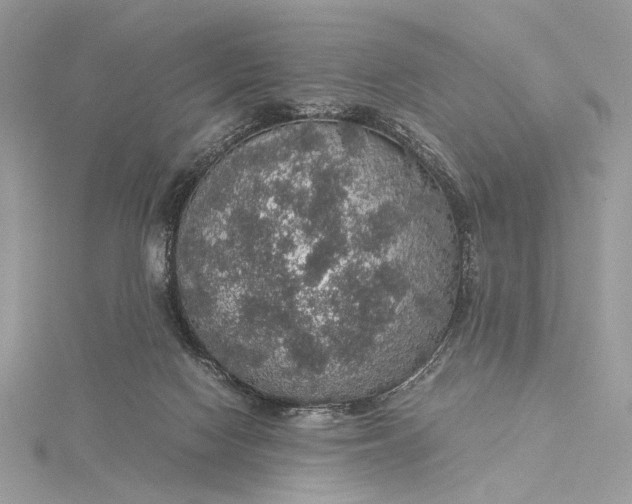 X0000116000074200912031518