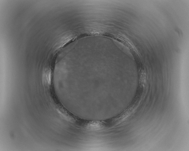 X0000116000076200912031518