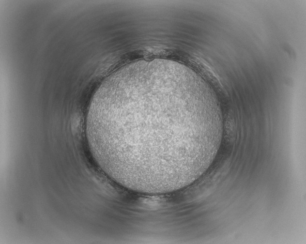 X0000116000079200912031518