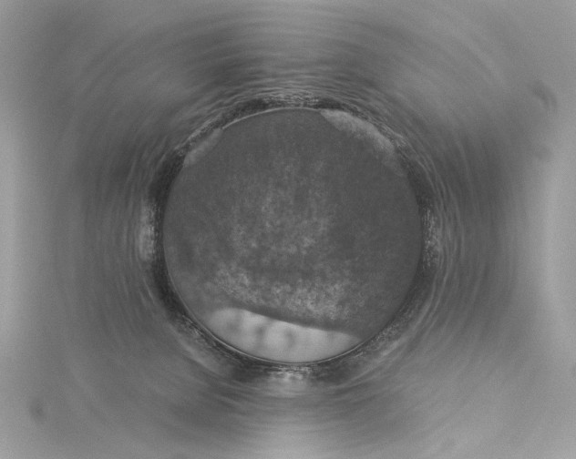 X0000116000080200912031518