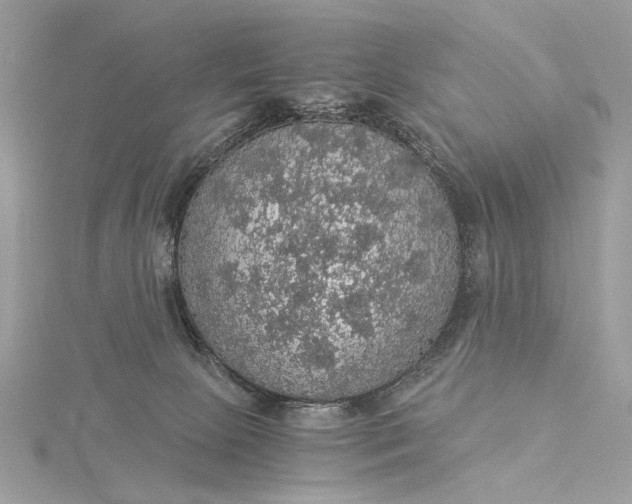 X0000116000081200912031518