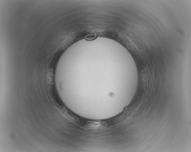 X0000116000083200912031518