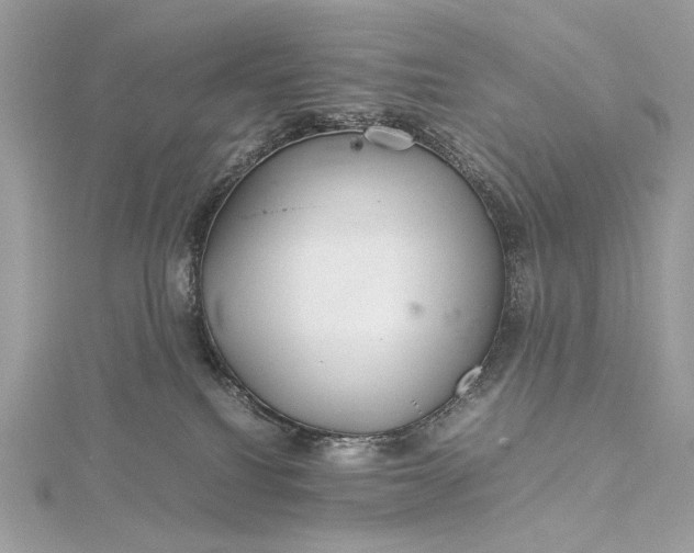 X0000116000088200912031518