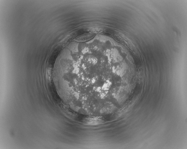 X0000116000093200912031518