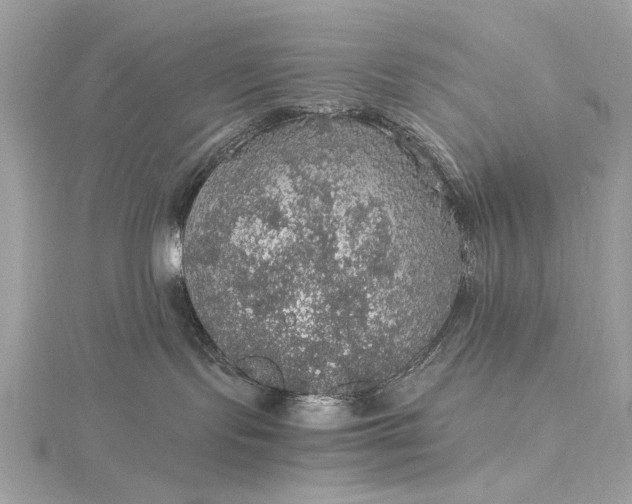 X0000116000095200912031518