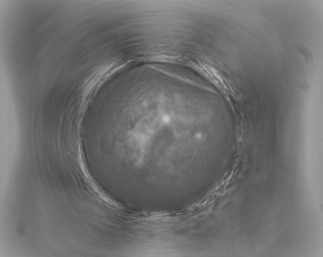 X0000116000097200912031517