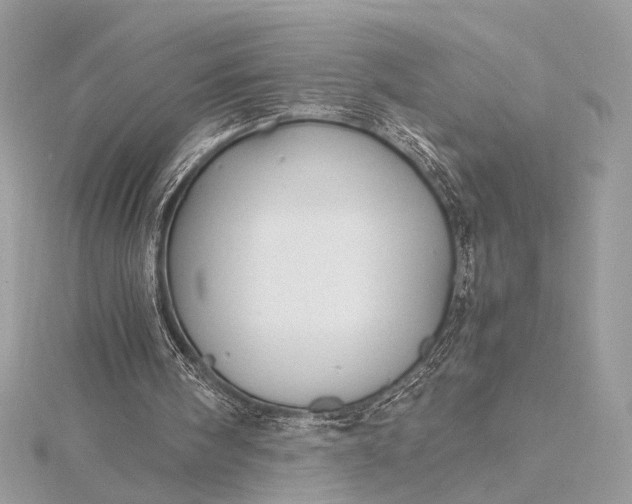 X0000116000098200912031517