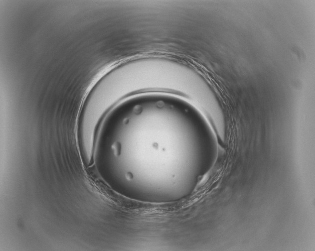 X0000116000100200912031517