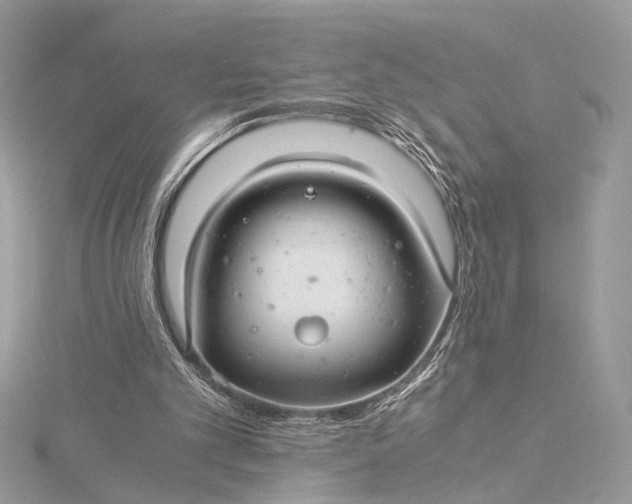 X0000116000101200912031517