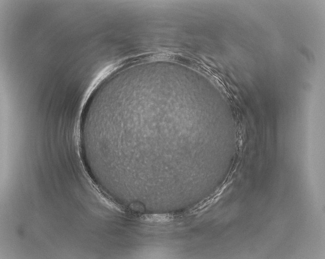 X0000116000102200912031517