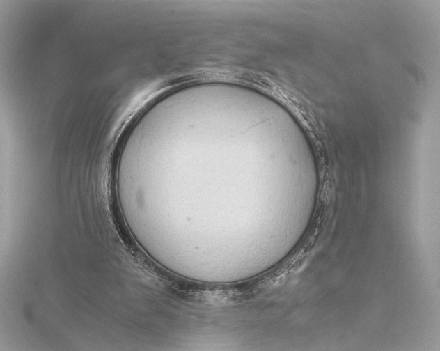 X0000116000103200912031517