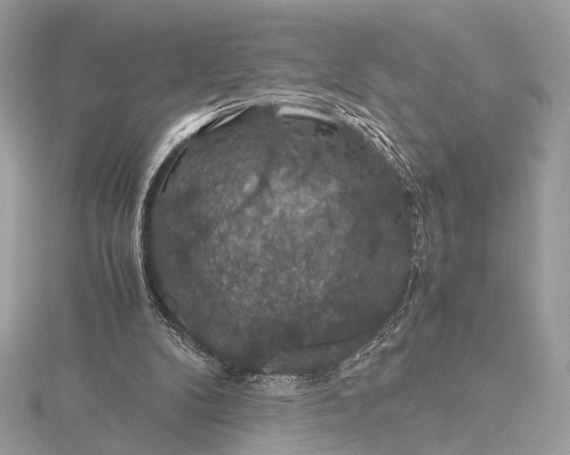 X0000116000104200912031517