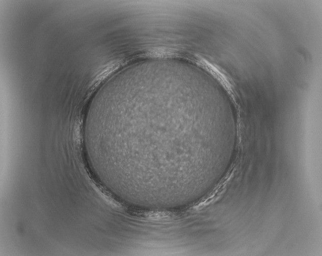 X0000116000105200912031517