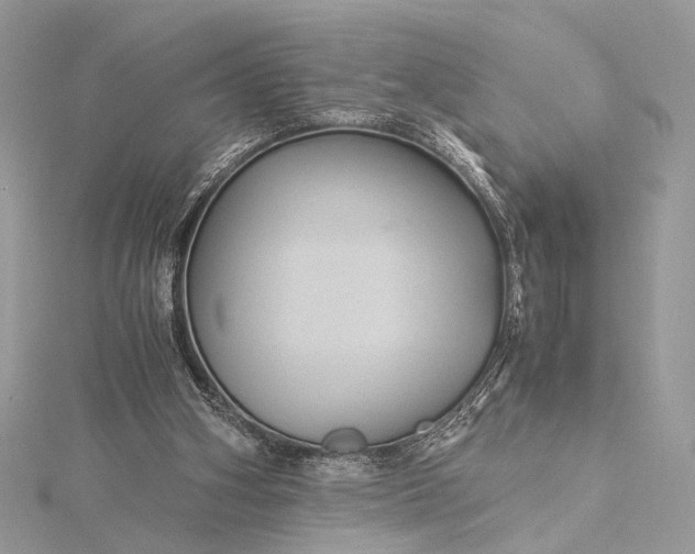 X0000116000106200912031517