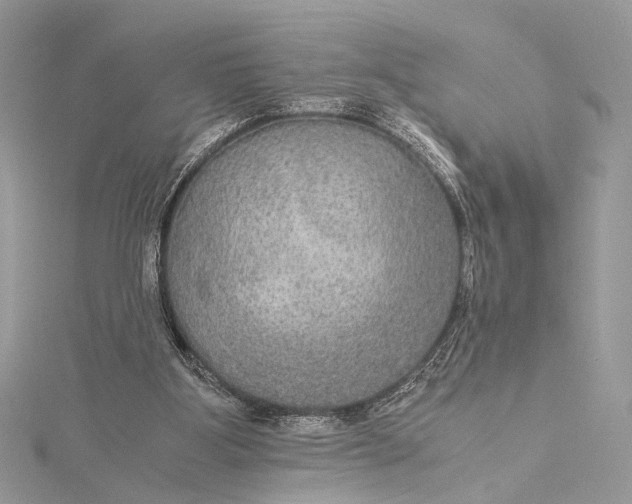 X0000116000107200912031517