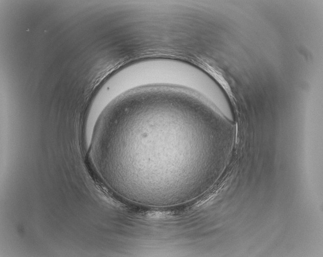 X0000116000109200912031517