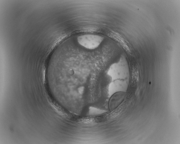 X0000116000110200912031517