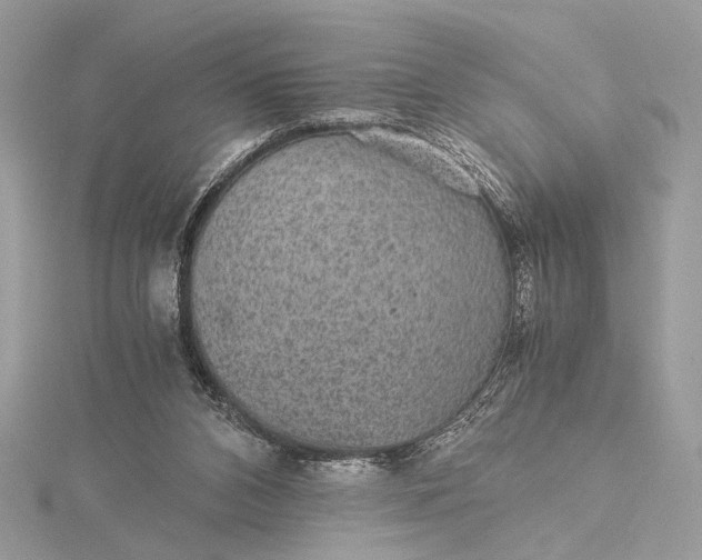 X0000116000112200912031517