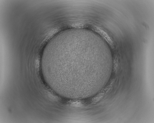 X0000116000113200912031517