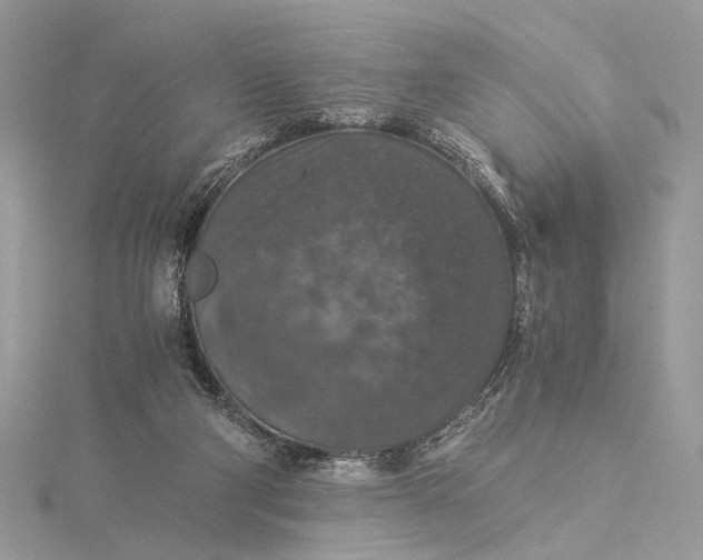 X0000116000114200912031517