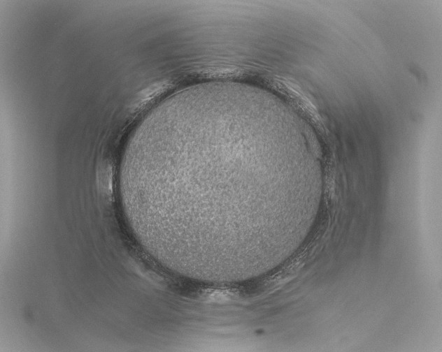 X0000116000115200912031517