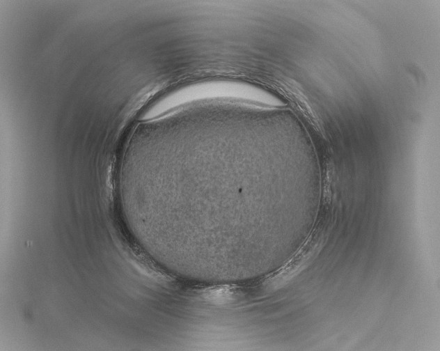 X0000116000116200912031517