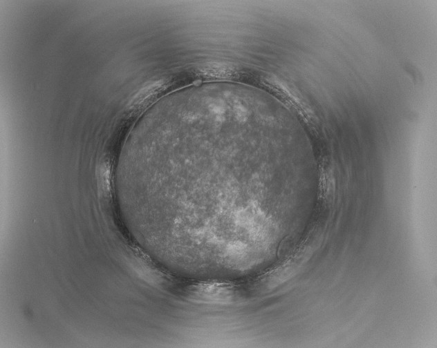 X0000116000117200912031517