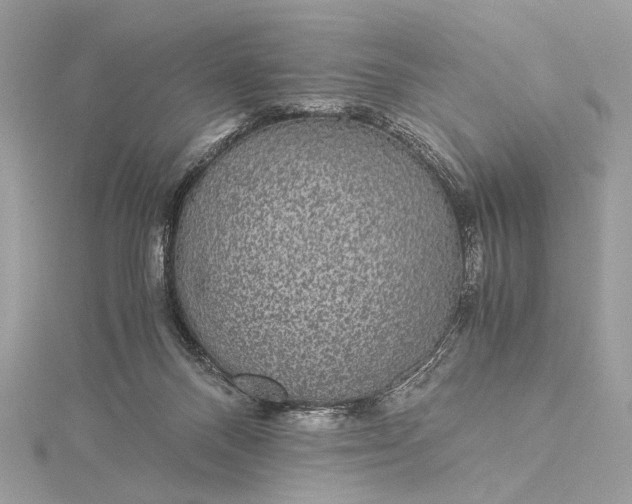 X0000116000120200912031517