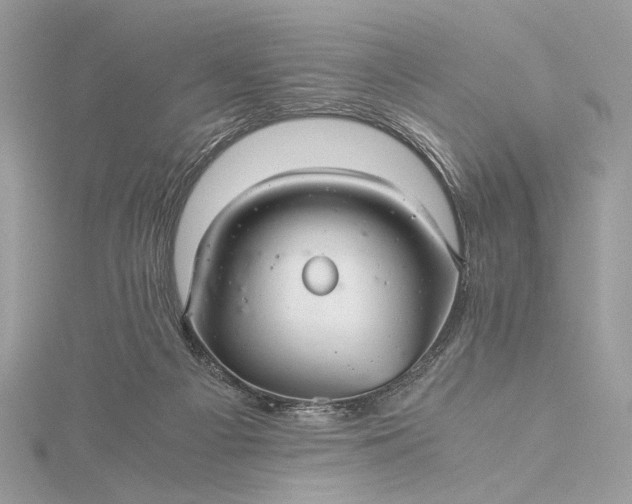 X0000116000121200912031517