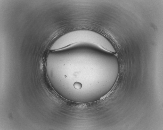 X0000116000124200912031517