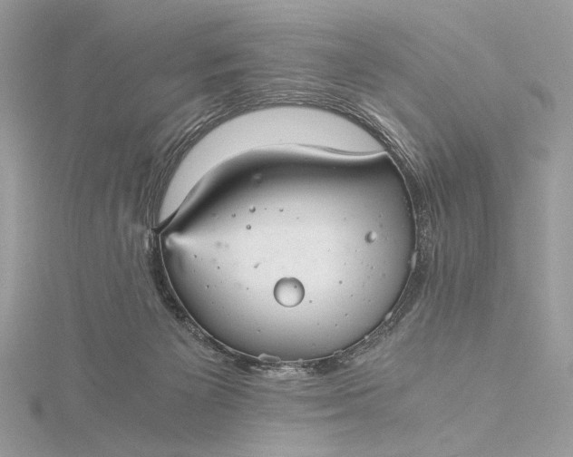 X0000116000125200912031517