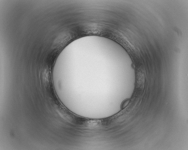 X0000116000126200912031517