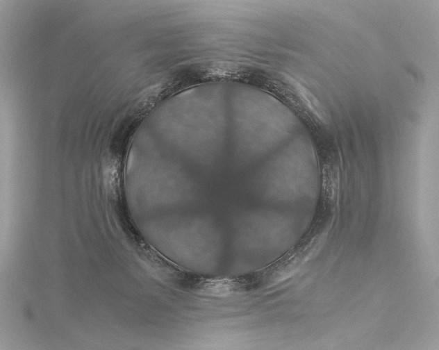 X0000116000127200912031517