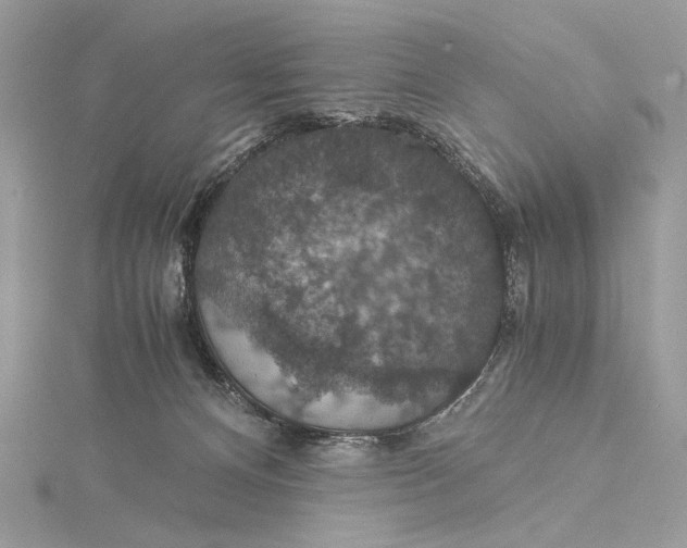 X0000116000128200912031517