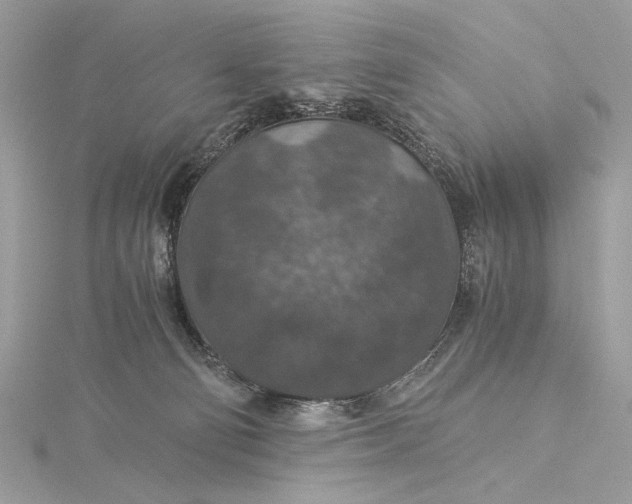 X0000116000130200912031517