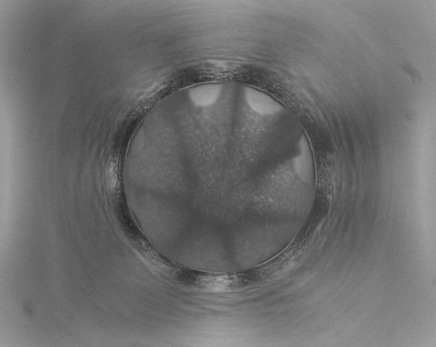 X0000116000131200912031517