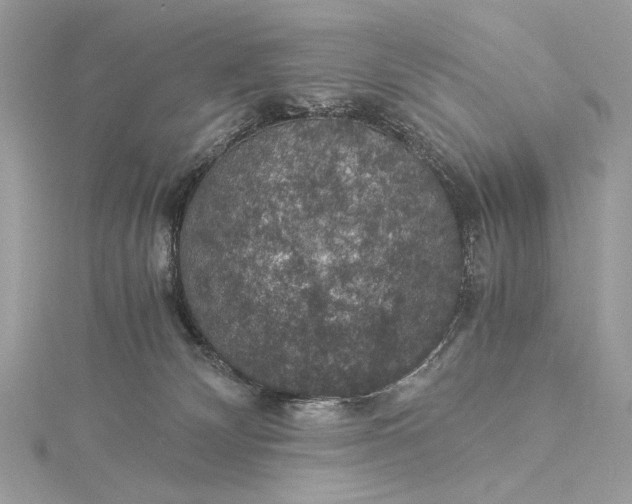 X0000116000132200912031517