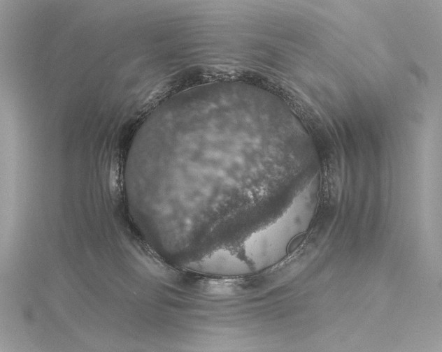 X0000116000134200912031517