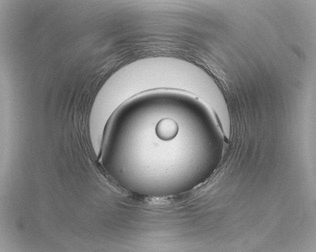 X0000116000141200912031517