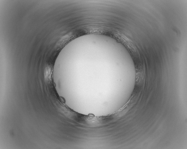 X0000116000142200912031517