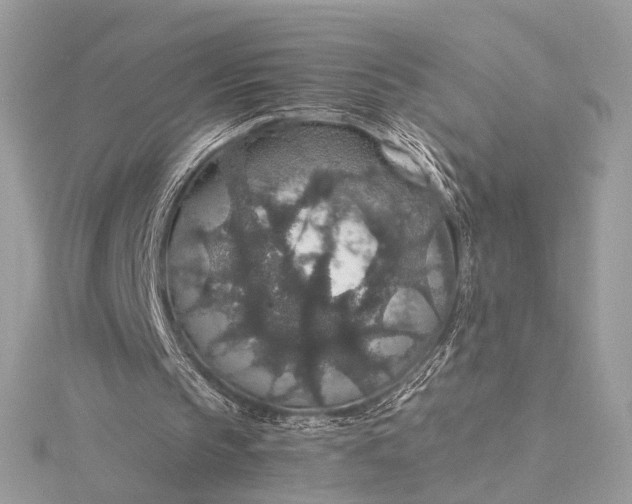 X0000116000145200912031516