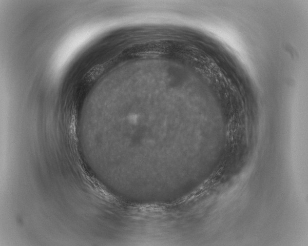 X0000116000146200912031516