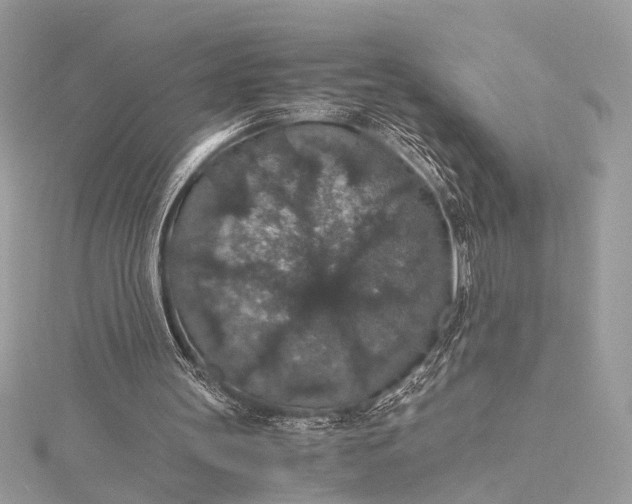 X0000116000147200912031516