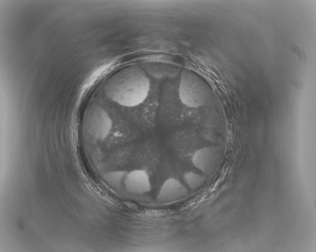 X0000116000149200912031516