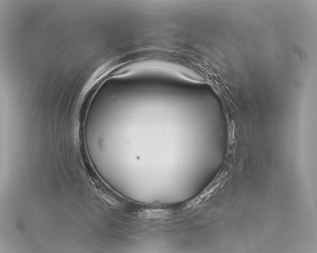 X0000116000150200912031516