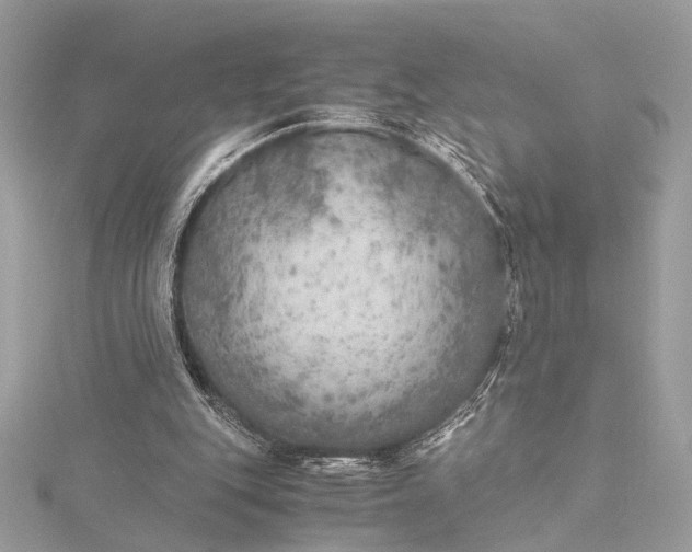 X0000116000151200912031516