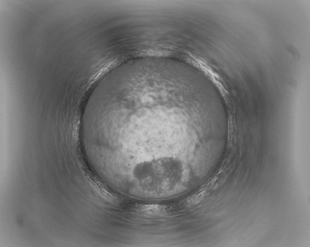 X0000116000153200912031516