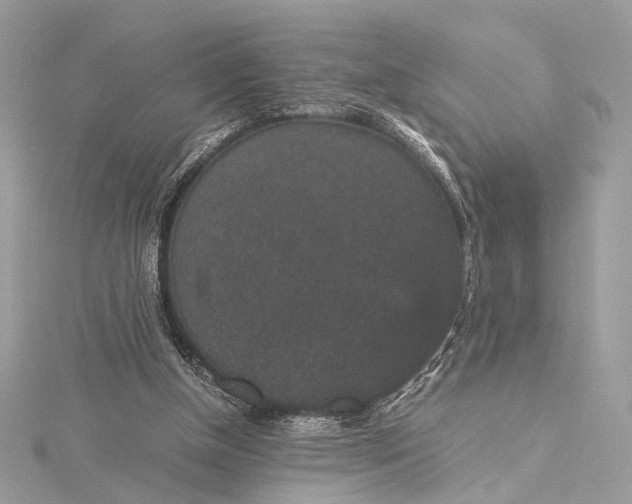 X0000116000154200912031516