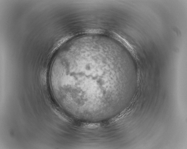 X0000116000155200912031516